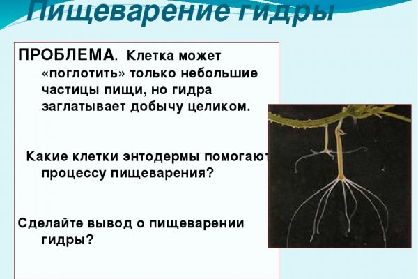 Услуги даркнета