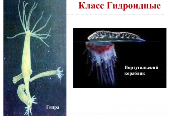 Кракен магазин krakens13 at