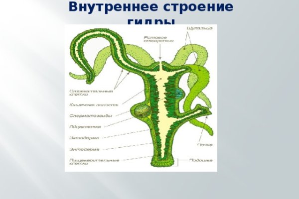 Кракен что это такое маркетплейс